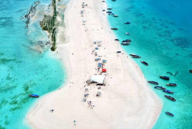 Safari Blue Tour | snorkeling with sea food