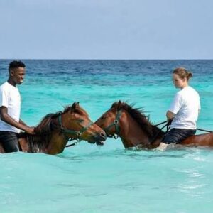 Horse riding tour