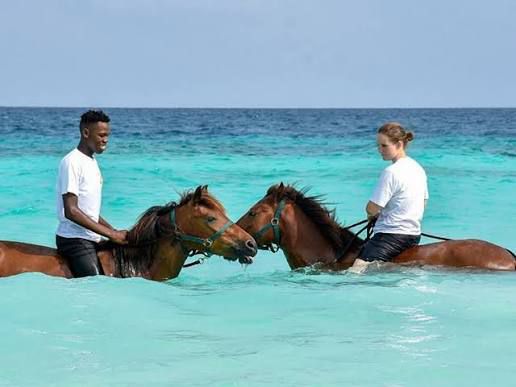 Horse riding tour